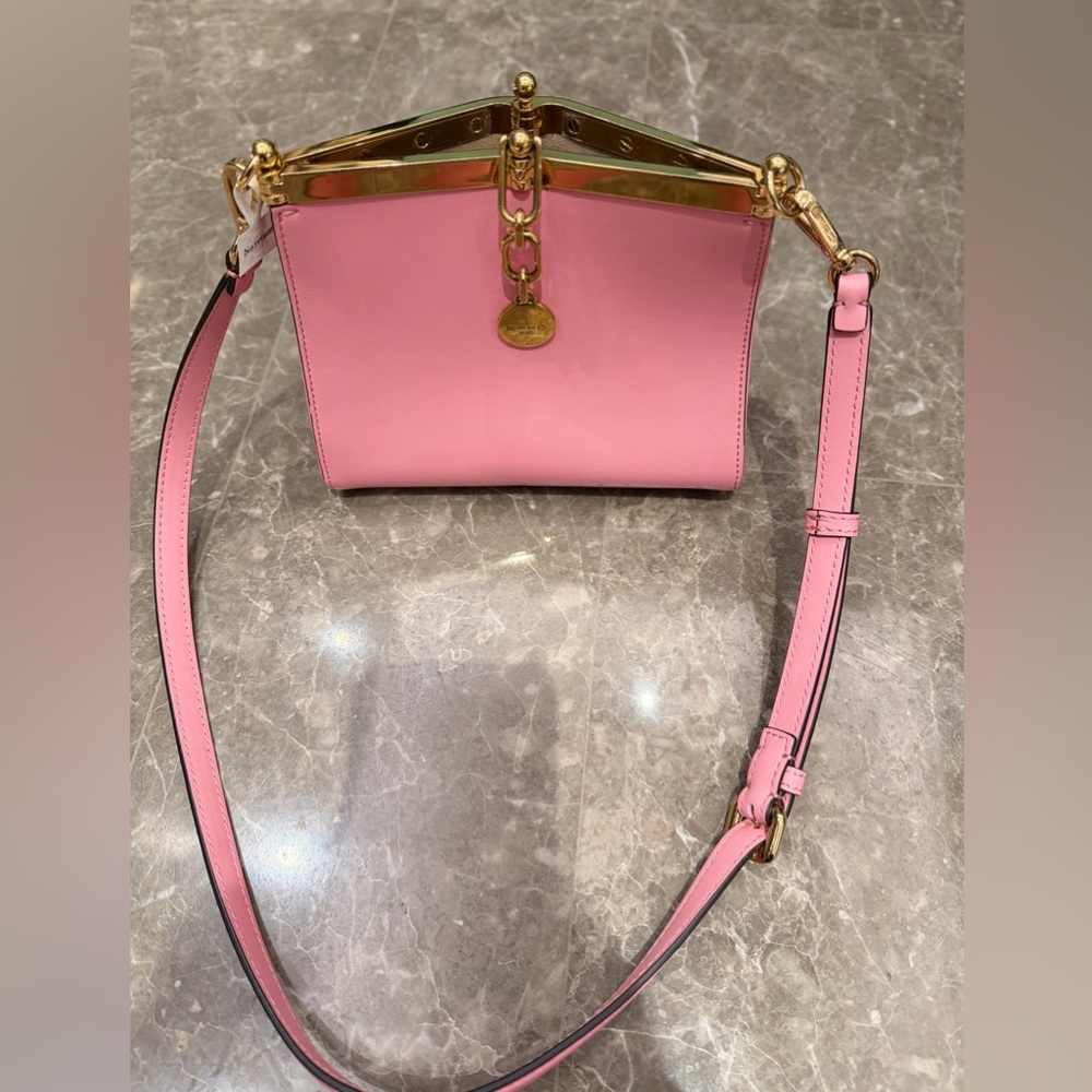 Etro Pink Leather Shoulder Bag with Gold-Tone Trim - Picture 3 of 15